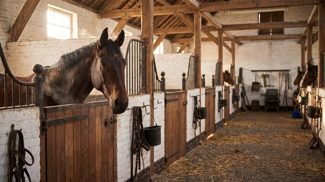 Agriculture & equestrian